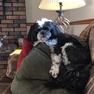 Meet your Posher, Annette